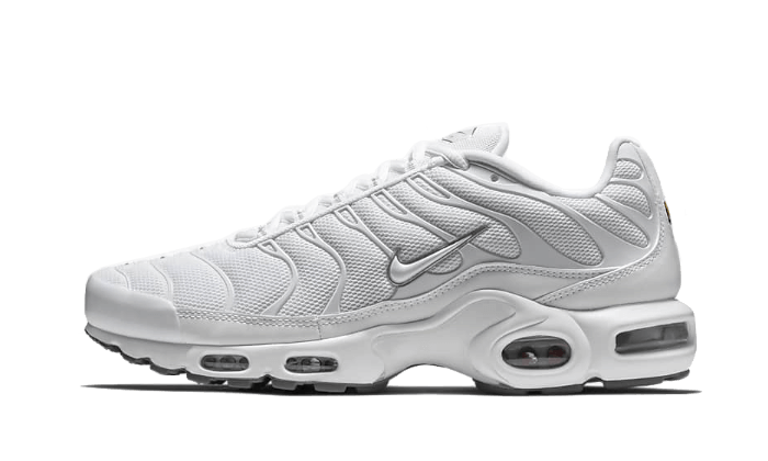 Nike Nike Air Max Plus White - 604133-139