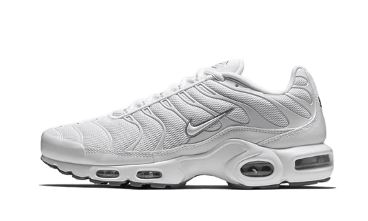 Nike Nike Air Max Plus White - 604133-139