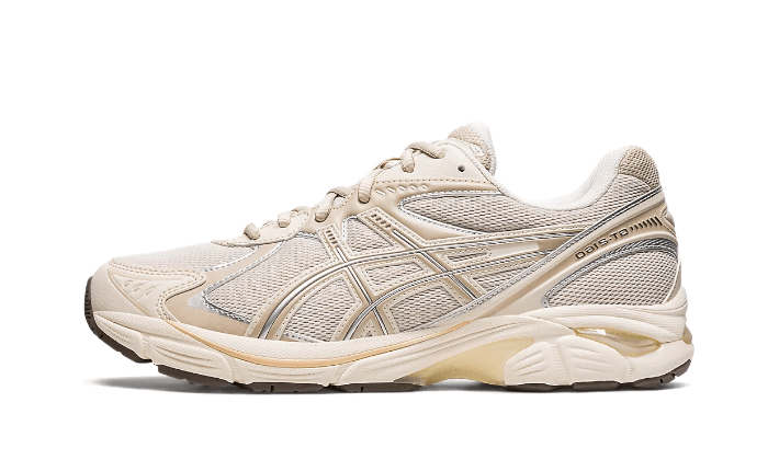 ASICS ASICS GT-2160 Oatmeal - 1203A320-250