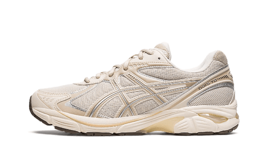 ASICS ASICS GT-2160 Oatmeal - 1203A320-250