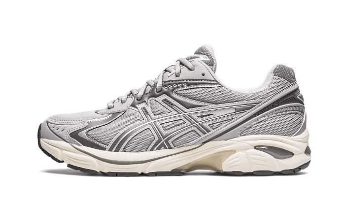 ASICS ASICS GT-2160 Oyster Grey - 1203A320-020