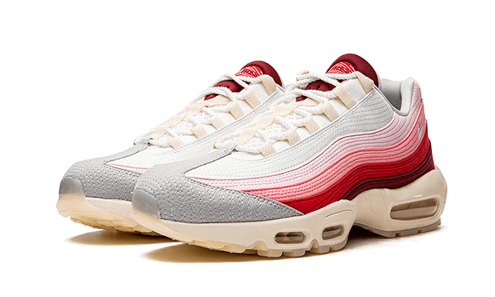 Nike Nike Air Max 95 Anatomy of Air - DM0012-600