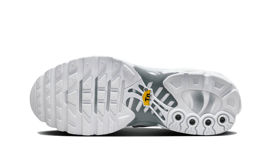 Nike Nike Air Max Plus White Metallic Silver - FV0952-100